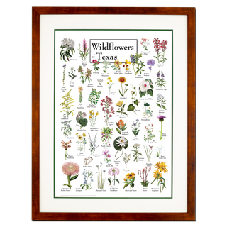 Wildflowers of Texas - Double matted honey frame image