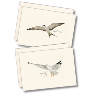 Gull & Tern Assortment image 0