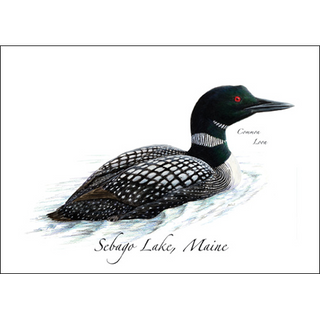Common Loon image 0
