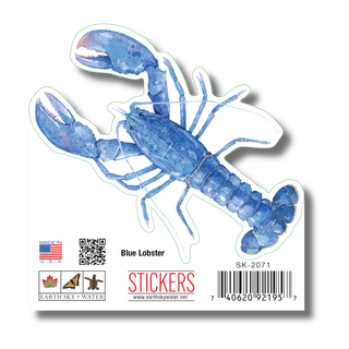 Blue Lobster image 1