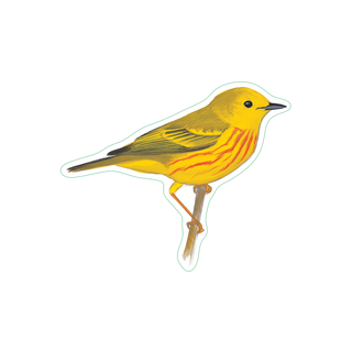 Yellow Warbler image 1