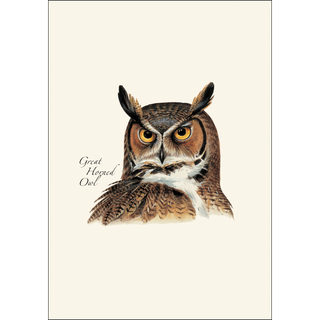 Peterson's Owl Assortment image 1
