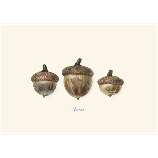 Three Acorns image 1