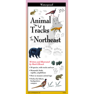 Animal Tracks of the Northeast image 0