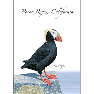 Tufted Puffin image 0