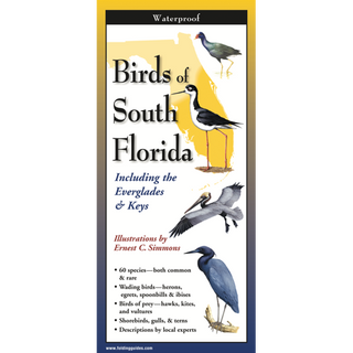 Birds of South Florida image 0