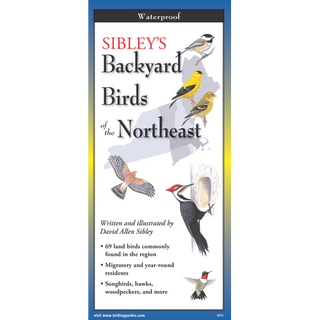 Sibley's Backyard Birds of the Northeast image 0