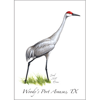 Sandhill Crane image 0