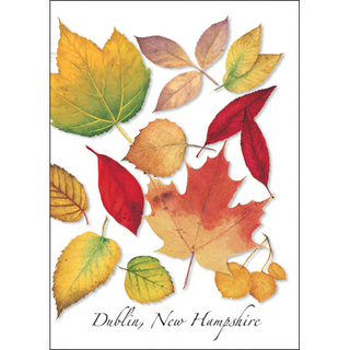 Fall Leaves image 0