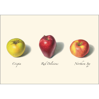 Apple Assortment image 1