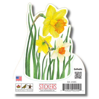 Daffodil image 1