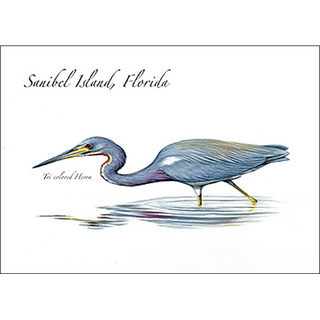Tricolored Heron image 0