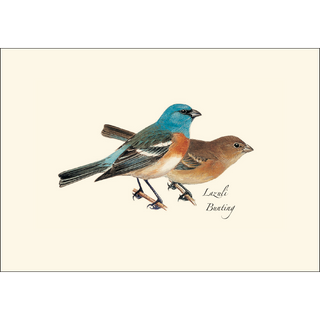 Peterson Western Bird  Assortment image 4