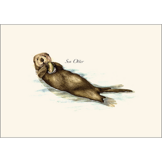 Sea Otter image 1