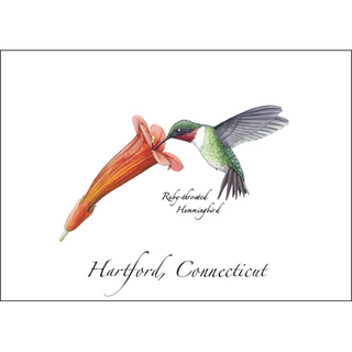 Ruby-throated Hummingbird II image 0