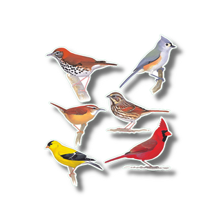 Favorite songbirds stickers with vibrant colors for backyard bird species reference