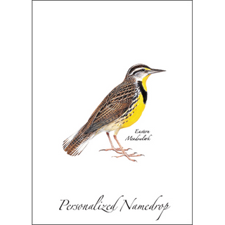 Eastern Meadowlark image 0