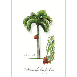 Christmas Palm image 0