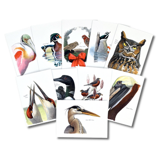 Sibley's 10-Card Bundle (Set of 10 Greeting Cards) image 0