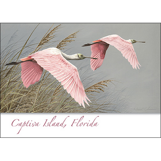 Two Spoonbills in Flight image 0