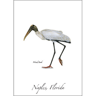 Wood Stork image 0