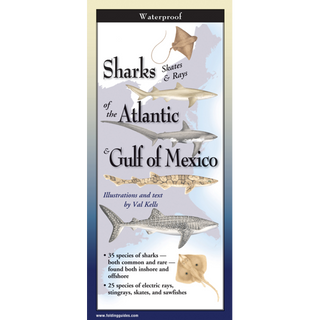 Sharks, Skates, & Rays of the Atlantic & Gulf of Mexico image 0