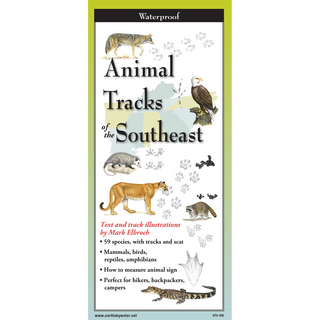 Animal Tracks of the Southeast image 0