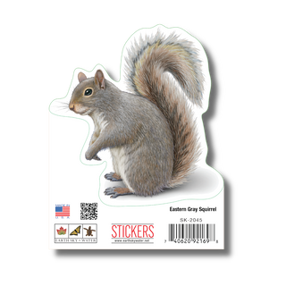 Gray Squirrel II image 1