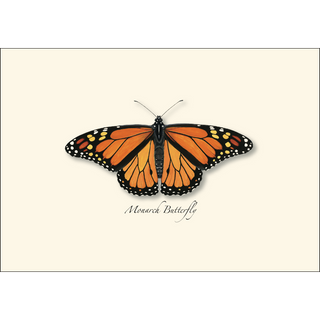 Monarch Butterfly image 1