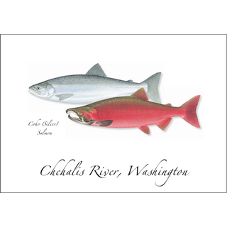 Coho Salmon image 0