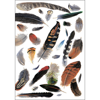 Feathers greeting card featuring varied textures, blank inside and gift-ready