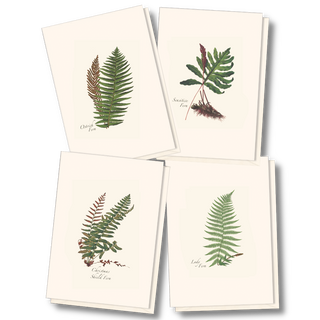 Fern notecard assortment inspired by forest greenery