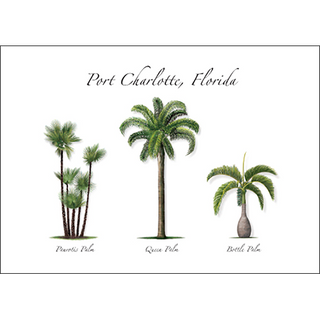 Palm Trio I image 0