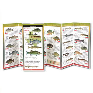 Freshwater Fishes of Texas image 1