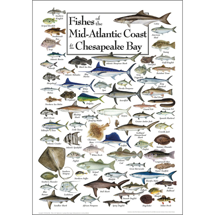 Mid-Atlantic Posters