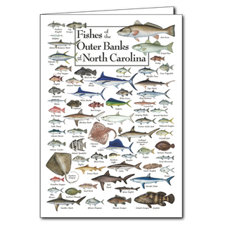 Outer Banks fishes greeting card inspired by coastal waters, blank inside and thoughtfully printed