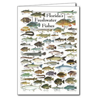 Florida freshwater fishes greeting card highlighting inland species, blank inside and gift-ready
