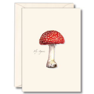 Fly agaric mushroom notecard illustrated by experts, boxed in recyclable plastic made from recycled water bottles