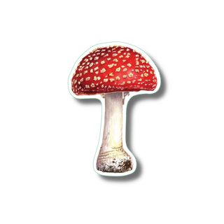 Fly agaric mushroom stickers with permanent clear adhesive showing a fungal species