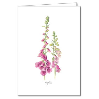 Foxgloves greeting card celebrating cottage garden favorites