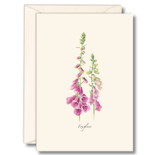 Foxgloves notecard highlighting tall woodland flowers, illustrated with care
