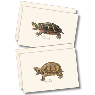 Freshwater turtle notecard assortment inspired by ponds and rivers