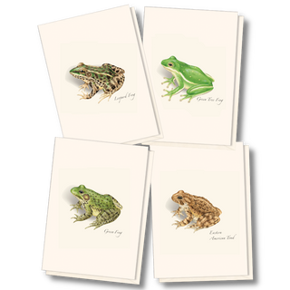 Frog and toad notecard assortment celebrating wetland life