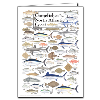 North Atlantic coast gamefishes greeting card inspired by offshore waters, made in the USA