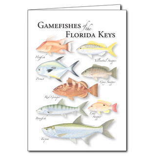 Florida Keys gamefishes greeting card with tropical appeal