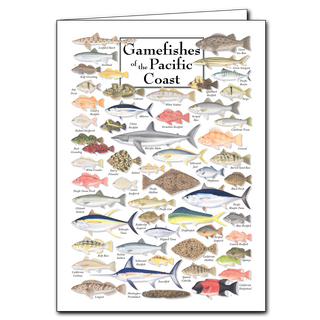 Pacific coast gamefishes greeting card celebrating ocean sportfish, printed on recyclable paper