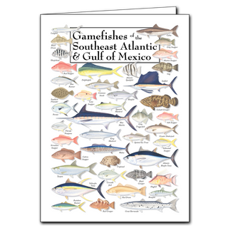 Southeast Atlantic and Gulf gamefishes greeting card, made in the USA on recycled paper