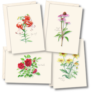 Garden favorites assortment notecards celebrating plants and pollinators, packaged sustainably