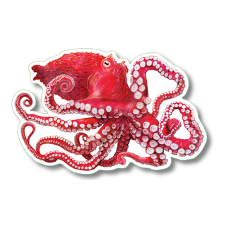 Giant Pacific octopus stickers on water-resistant vinyl for marine species reference