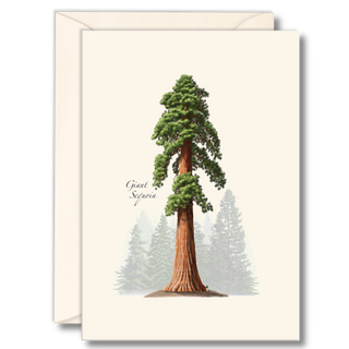 Giant sequoia notecard celebrating one of the world’s tallest trees, illustrated by experts